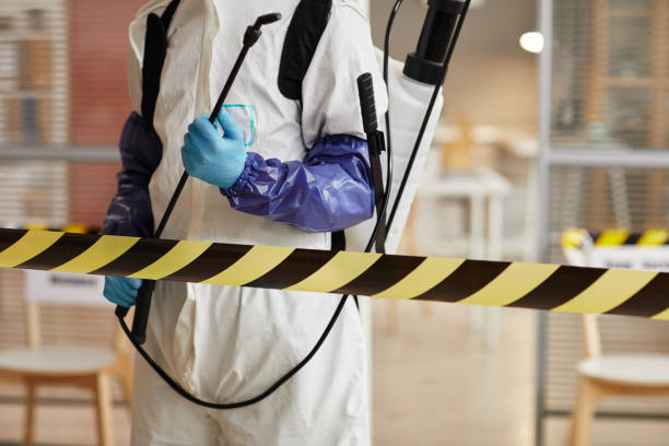 Professional Sewage Cleanup technician working in Manchester, WA